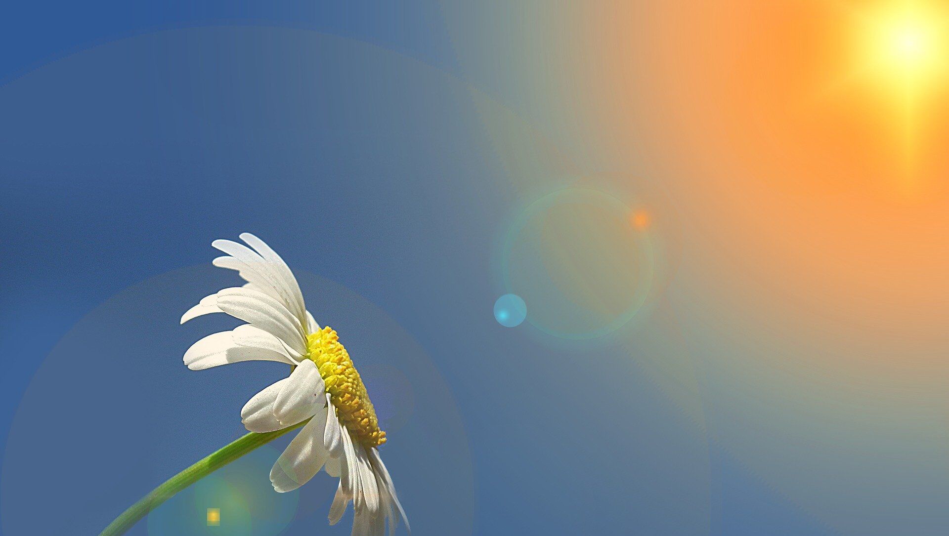 Sabah 24 dərəcə isti olacaq