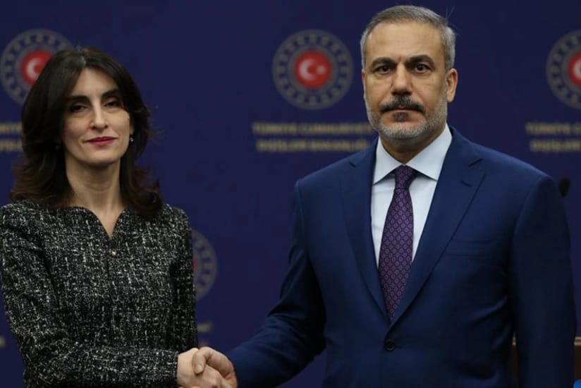 Türkiyə və Gürcüstan XİN başçıları təyyarə qəzası barədə müzakirə aparıblar