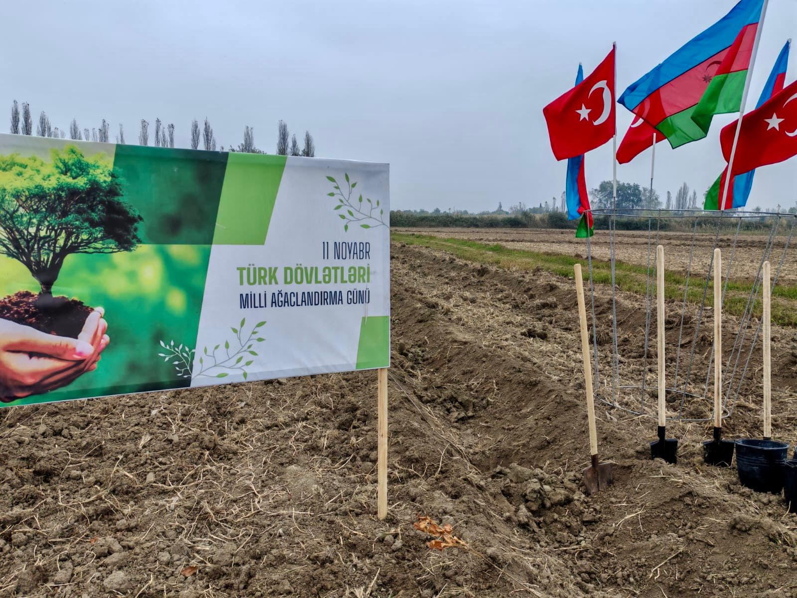 “Gələcəyə nəfəs!” aksiyası çərçivəsində bir gündə 111 111 ağac əkilib