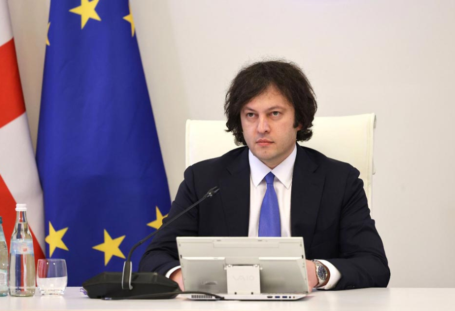 Gürcüstanın Baş naziri Almaniya səfirinin fəaliyyətini tənqid edib