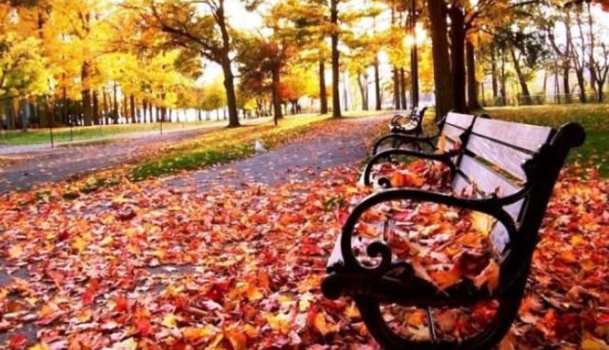 Noyabrda havaların mülayim keçməsinin SƏBƏBİ