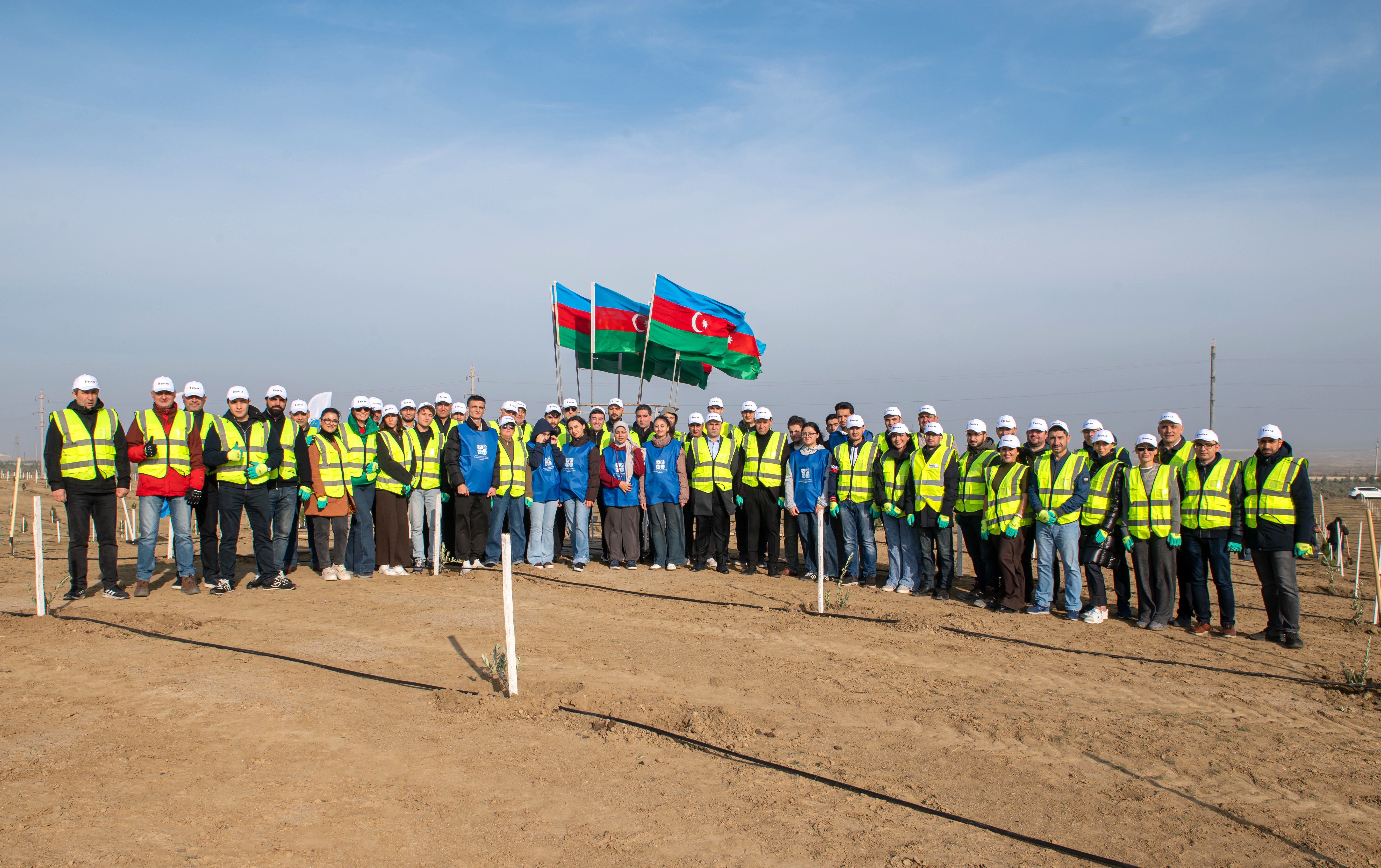 "SOCAR Midstream" ağacəkmə aksiyası keçirdi - FOTOLAR