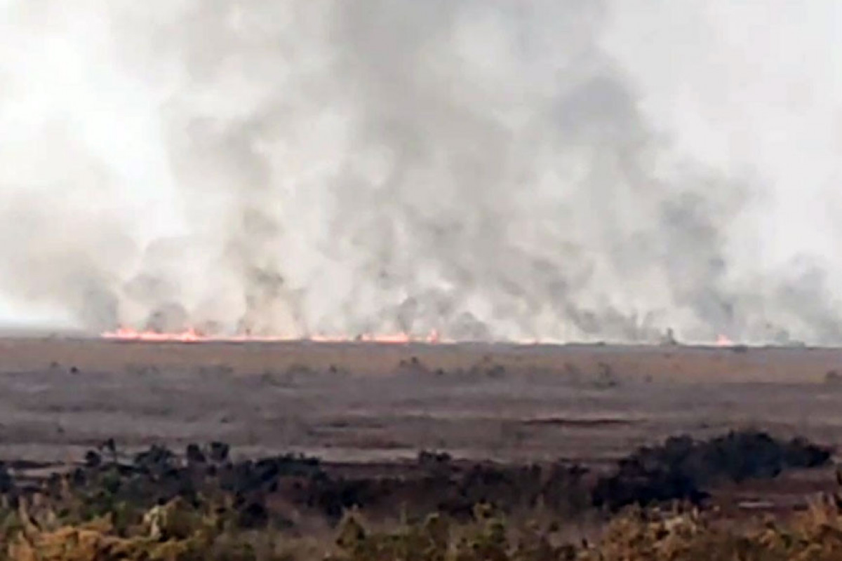 Cəlilabadda ovçuluq təsərrüfatında yanğın söndürüldü