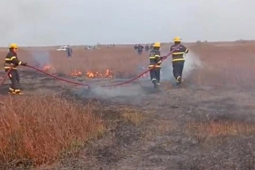 Cəlilabadda yanğın baş verib, 5 hektar ərazi yanıb