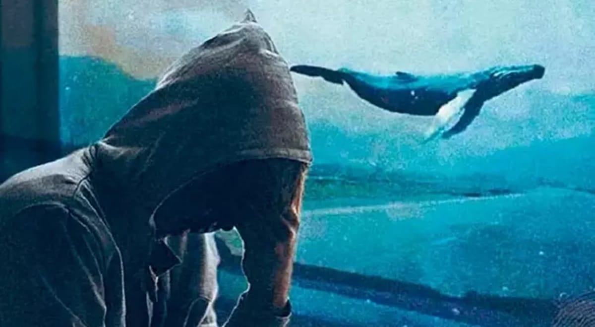 Valideynlər üçün səssiz təhlükə: Azyaşlıları "Mavi Balina" kimi oyunlardan necə qoruyaq? - VİDEO