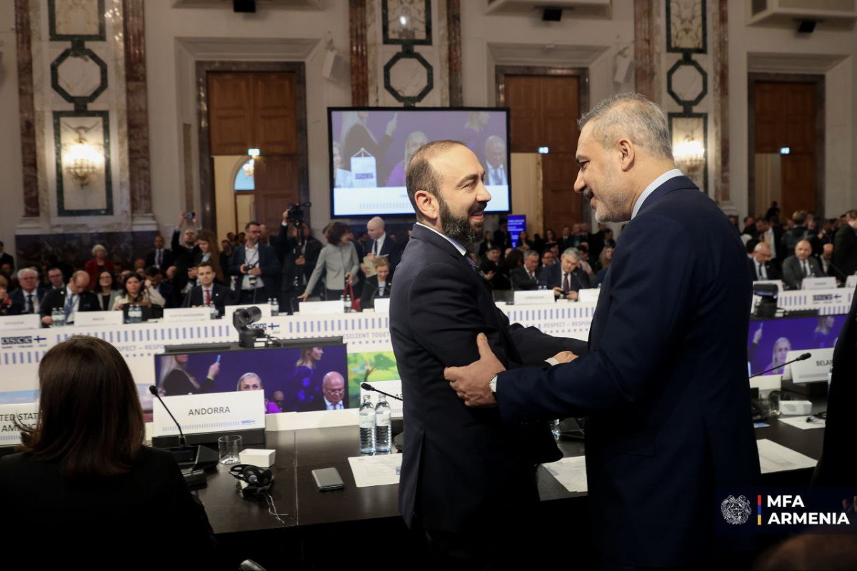 Mirzoyan Vyanada Hakan Fidanla görüşüb