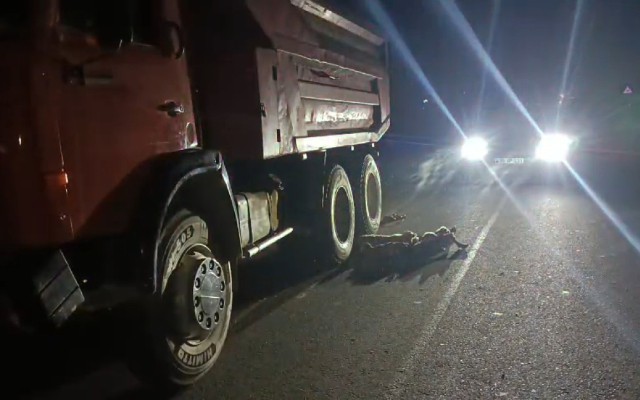 Salyanda yük maşını qoyun sürüsünü vurdu, heyvanlar tələf oldu