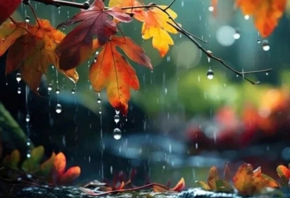 Yağıntılı hava dekabrın 11-dək davam edəcək