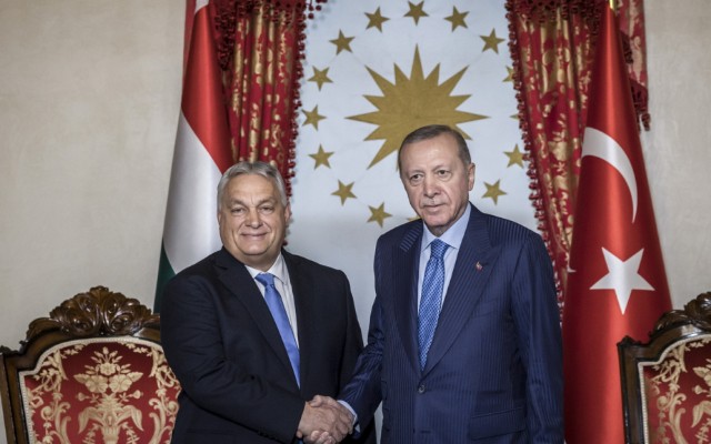 Macarıstan yüzlərlə atını Türkiyəyə satacaq