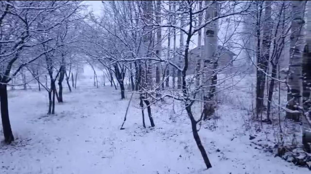 Naxçıvana 25 sm qar yağıb