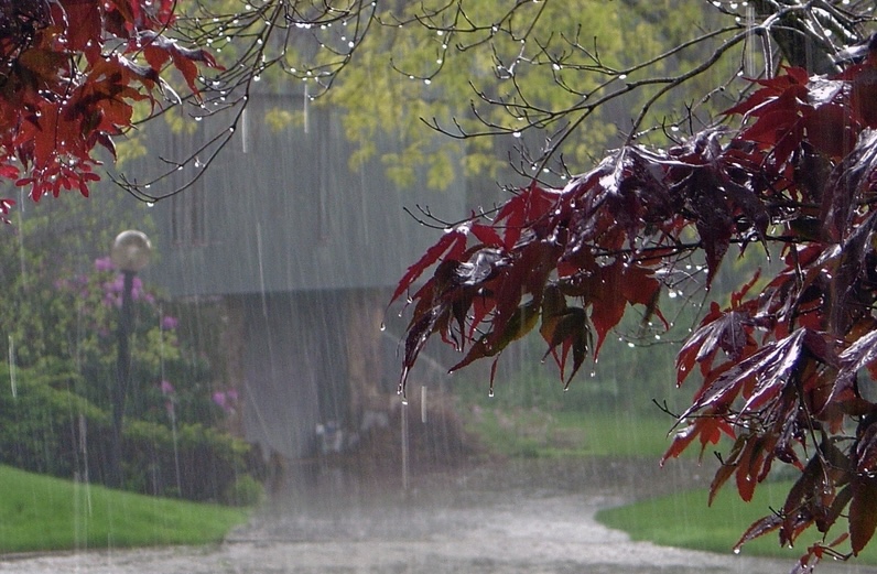 Küləkli hava şəraiti ilə bağlı sarı xəbərdarlıq verilib