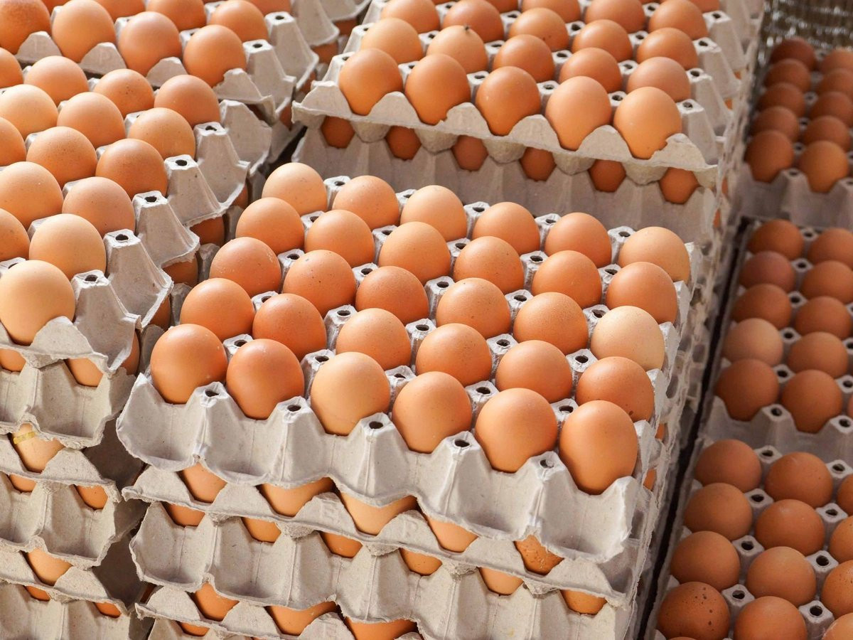 Azərbaycanda yumurta bahalaşdı - YENİ QİYMƏT