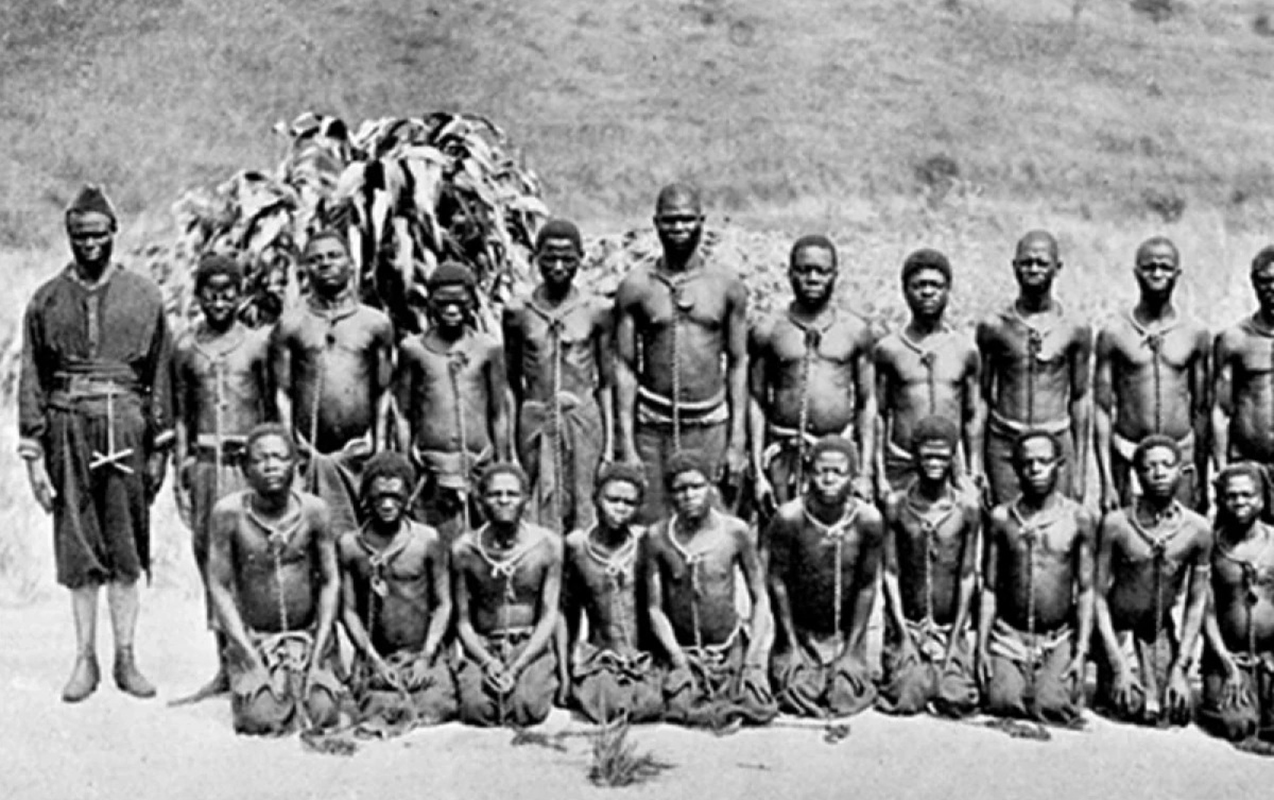 “Brüsseldəki ilk “insan zooparkı” heç də təsadüfi hadisə olmayıb”