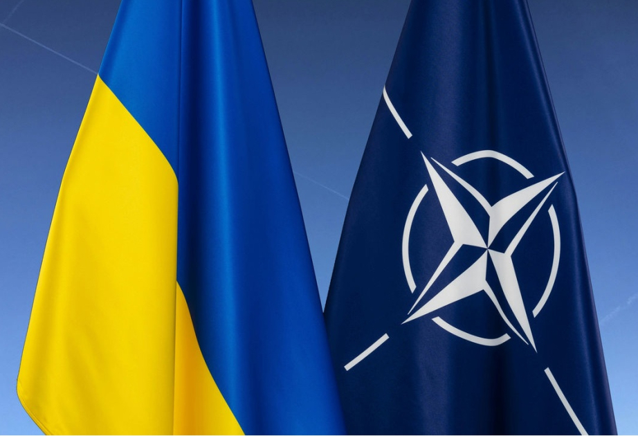 Ukraynanın NATO üzvlüyünə qarşı çıxan ölkələr: Rütte adlar çəkdi