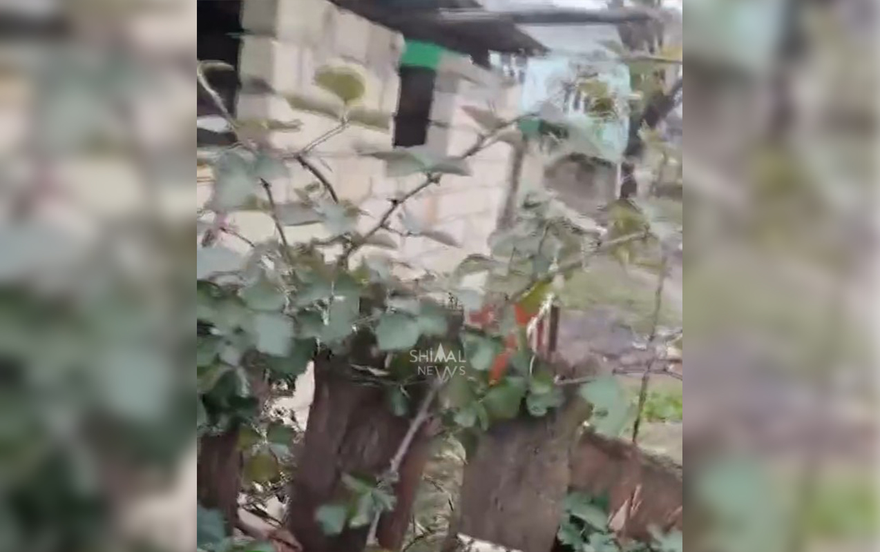 Ev sahibini öldürüb üstündə it damı tikdi - Xaçmazda dəhşət