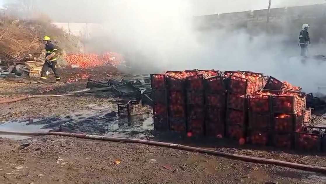 Zaqatalada xurma sexi yandı - FOTOLAR