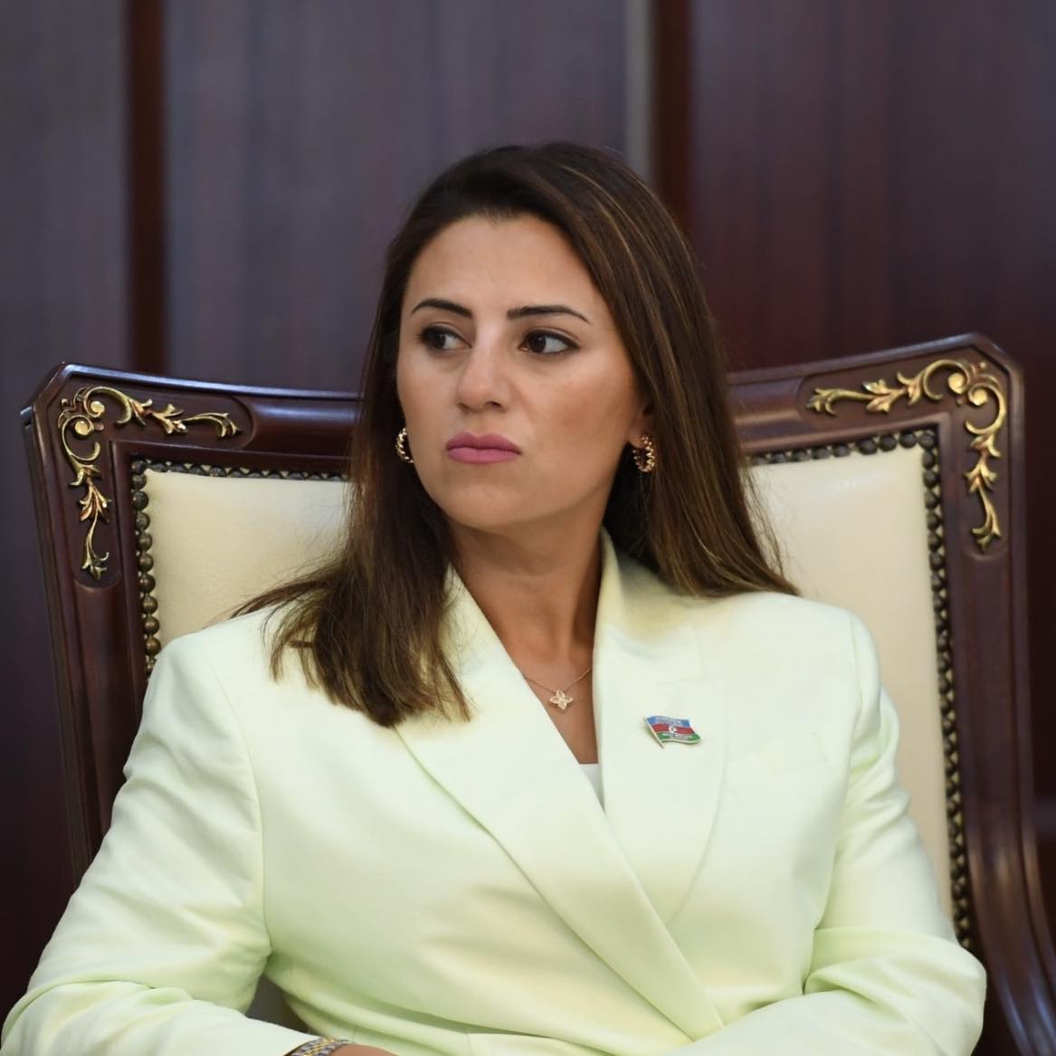 Deputatın "facebook" səhifəsinə qanunsuz müdaxilə edildi