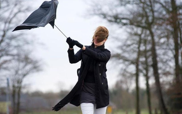 Küləklə bağlı sarı - Xəbərdarlıq