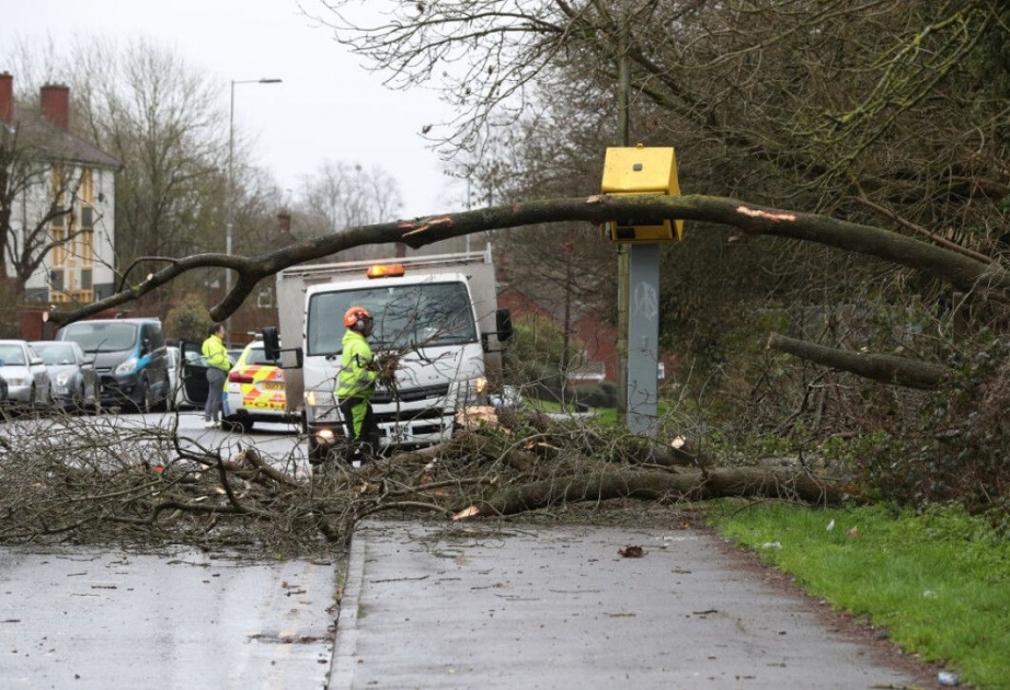 Avstraliyada qasırğa - 22 mindən çox insan işıqsız qaldı