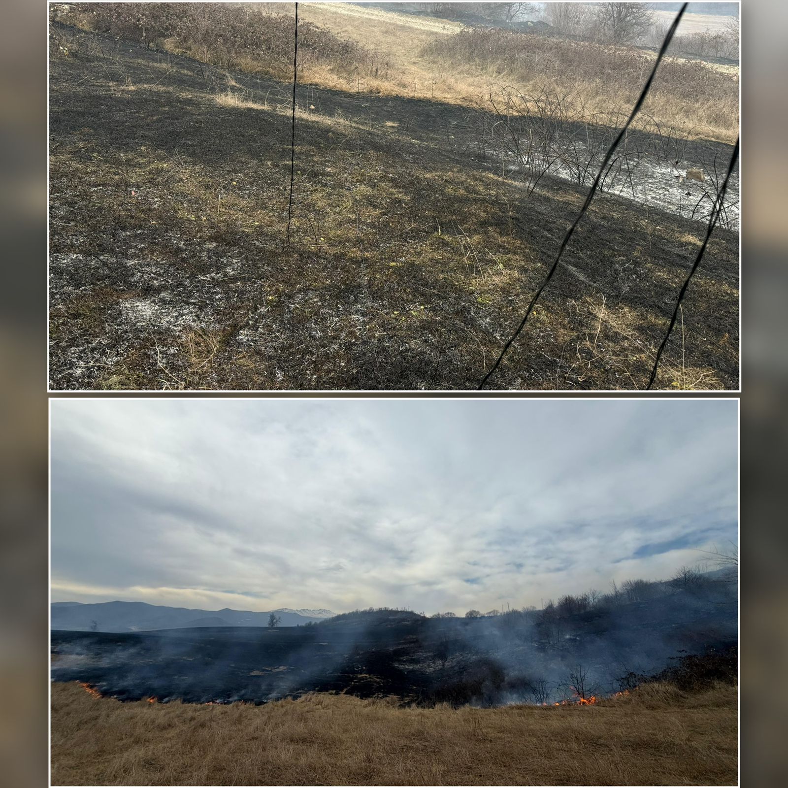 Xocalıda yanğına səbəb olan şəxs saxlanılıb