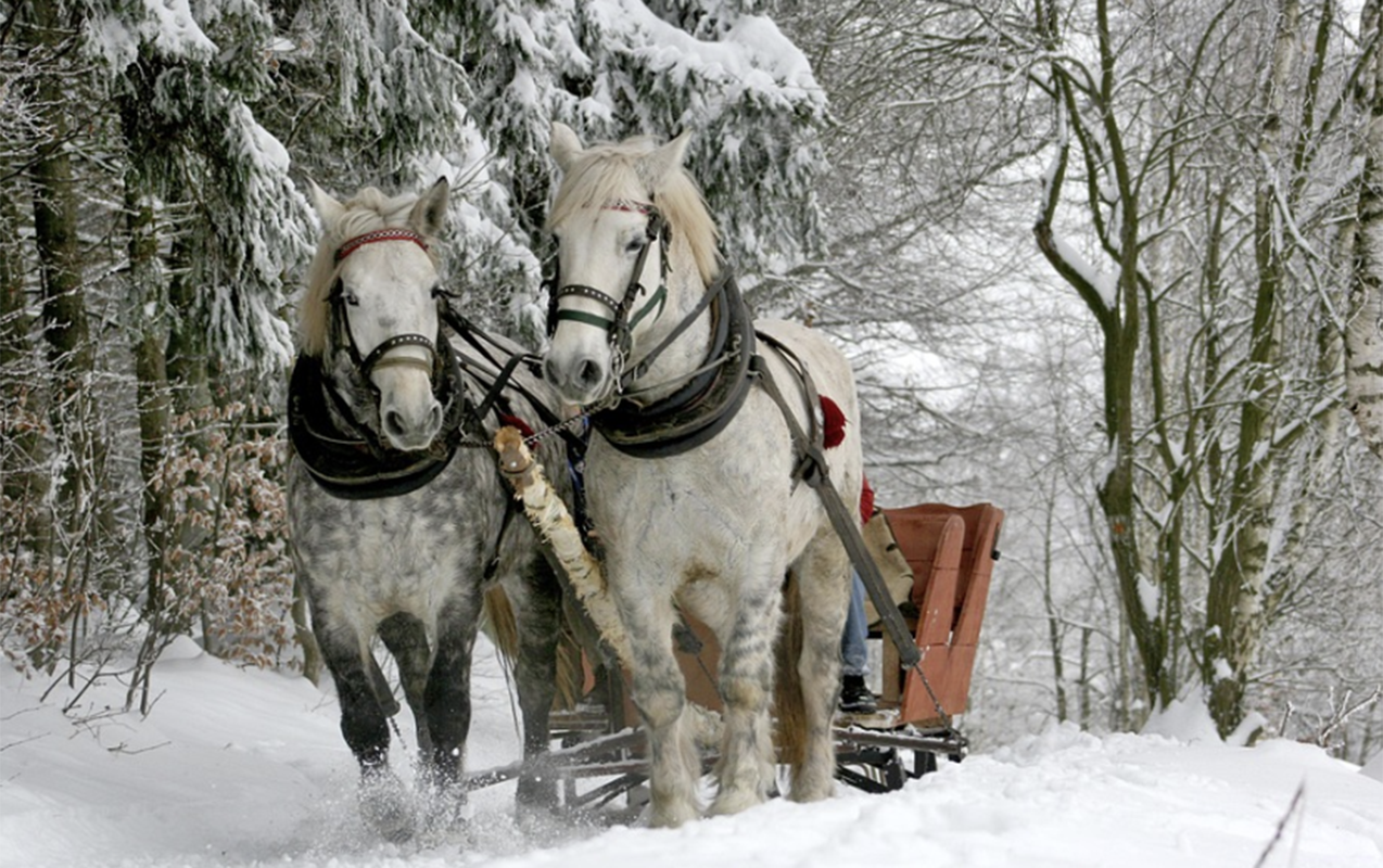Qar yağacaq, 20 dərəcə şaxta olacaq