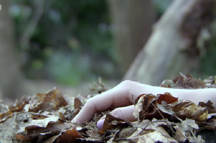 Kanaldan meyiti tapıldı