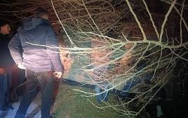 Şəkidə qəza oldu, yaralanan var