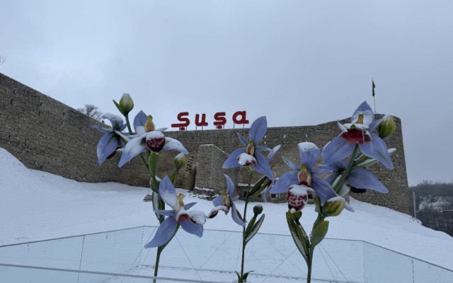 Şuşa bu gün... - FOTOLAR