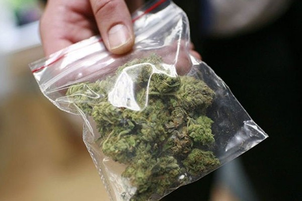 Ağcabədi rayonunda 10 kiloqram narkotik vasitə aşkarlandı