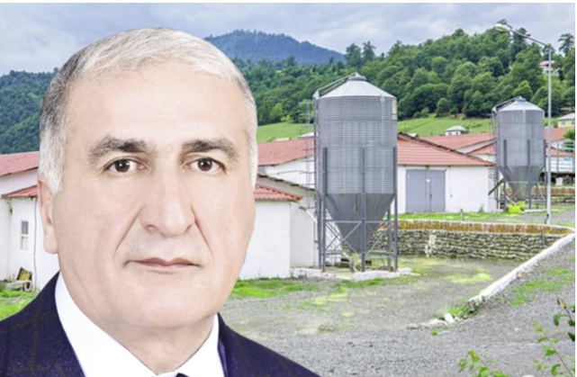 İqbal Məmmədovun "Lerik Broyler"i fəaliyyətini dayandırdı - Sabiq deputatın biznes imperiyası çökür?
