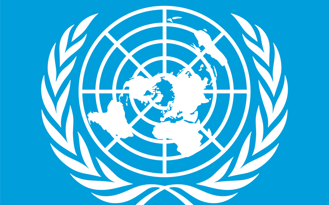 Qəsdən törədilən hücumlarda 21 əməkdaşımız öldürülüb - BMT