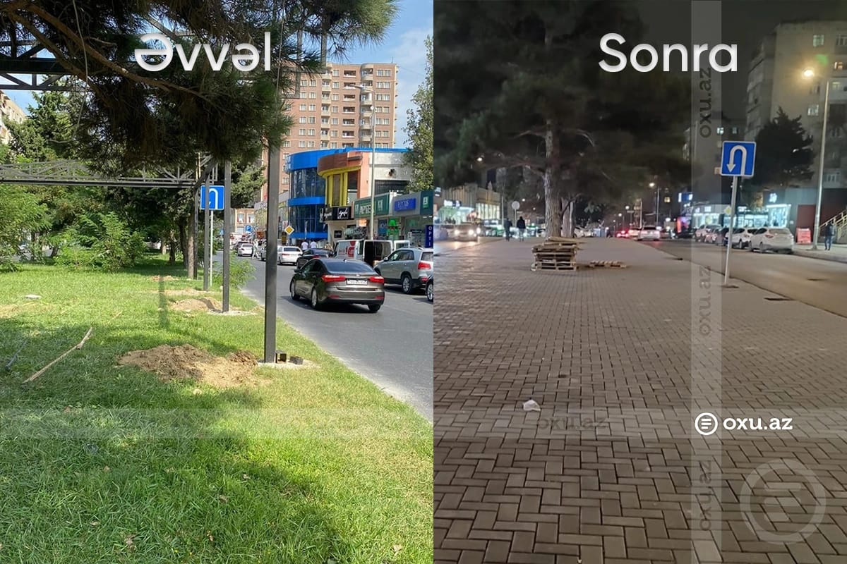 Əhmədlidə tikintiyə icazə verilməyən ərazidə ağaclar qırıldı, yerinə daş döşəndi - Polis araşdırmaya başladı