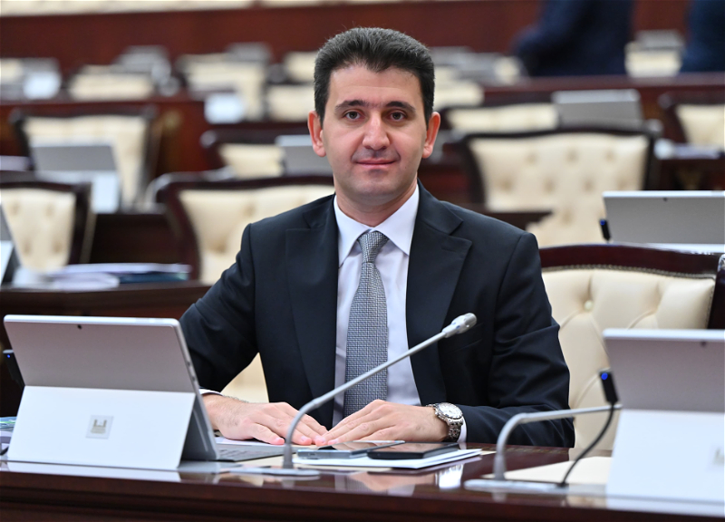 Naqif Həmzəyev Türkiyədə mükafata layiq görüldü