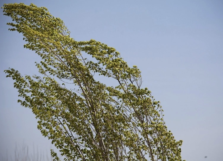 Küləkli hava şəraiti ilə bağlı sarı xəbərdarlıq verilib