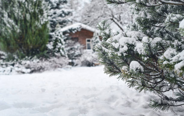 Qar yağacaq, külək güclənəcək - Sabahın havası