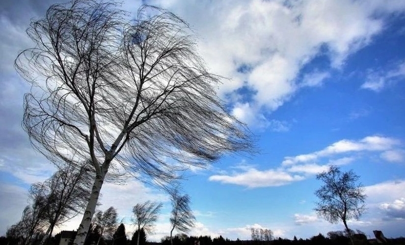 Azərbaycanın bu rayonlarında güclü külək əsir – FAKTİKİ HAVA