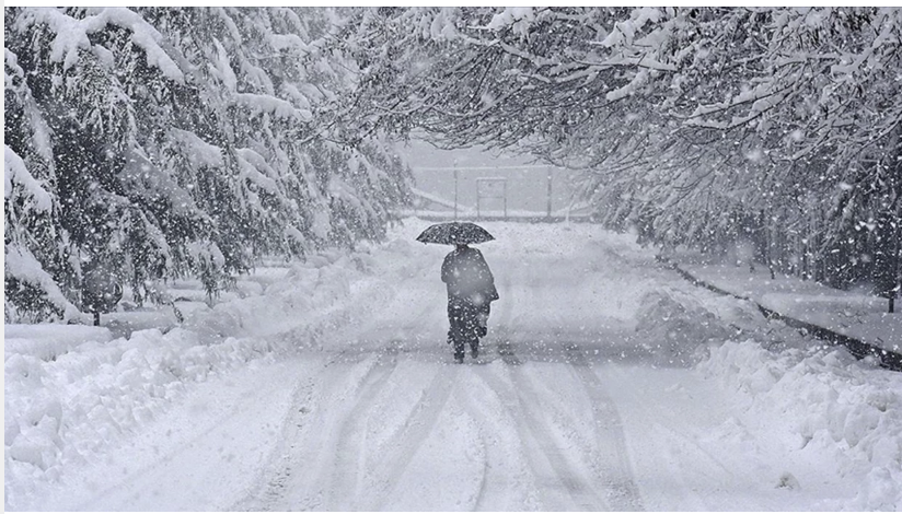 Yaponiyada şiddətli qar davam edir: Ölənlərin sayı artdı