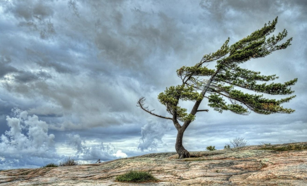 Bəzi yerlərdə külək güclənəcək - XƏBƏRDARLIQ