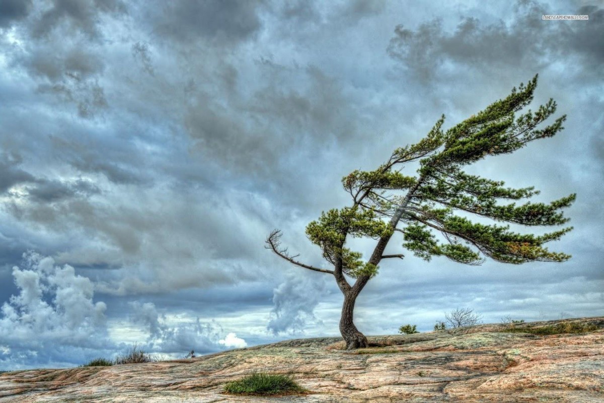 Hava kəskin dəyişir: Güclü külək XƏBƏRDARLIĞI