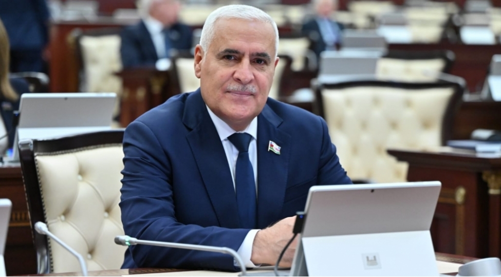 Rəqəmsallaşma və innovasiya: Azərbaycanın dayanıqlı inkişaf konsepsiyası