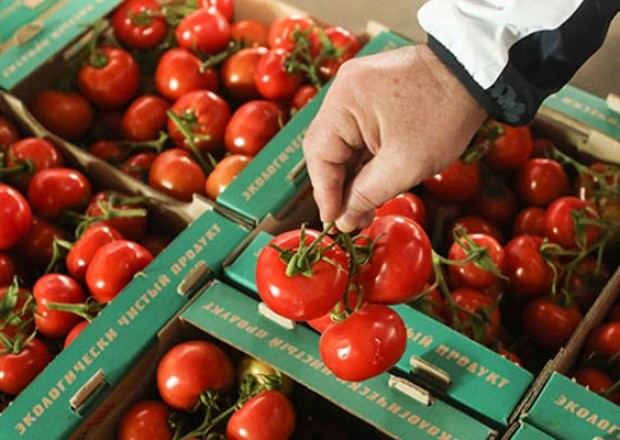Kənd təsərrüfatı üçün yeni bazar: Azərbaycan bu ölkələrə pomidor satacaq