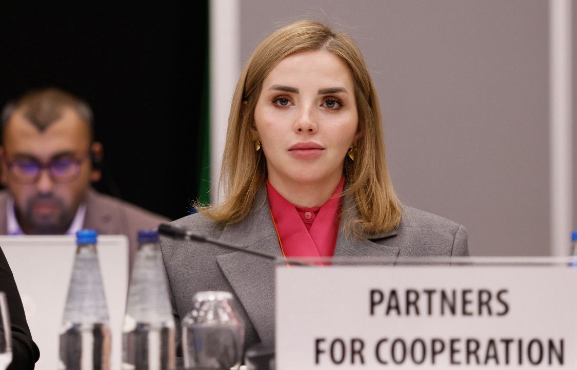 "Rusiyadan hibrid təhdidlərin formatlandığı koqnitiv müharibə ilə üz-üzəyik”