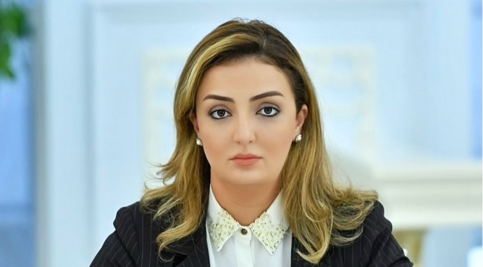 “Bu prosesdə üzdəniraq antimilli ünsürlərdən alət kimi istifadə olunur" - Deputat