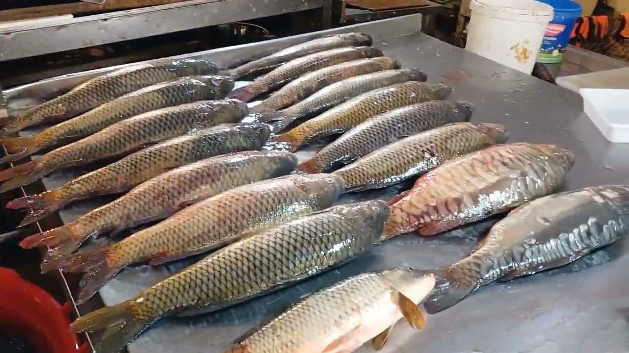 İranda müharibənin təsiri bazarda hiss olunmağa başlandı: Azərbaycanda balıq BAHALAŞDI