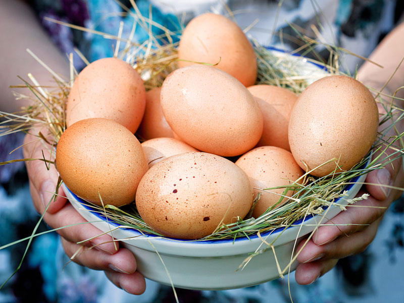 Əsl və saxta yumurtalar bir-birindən necə fərqlənir? - VİDEO