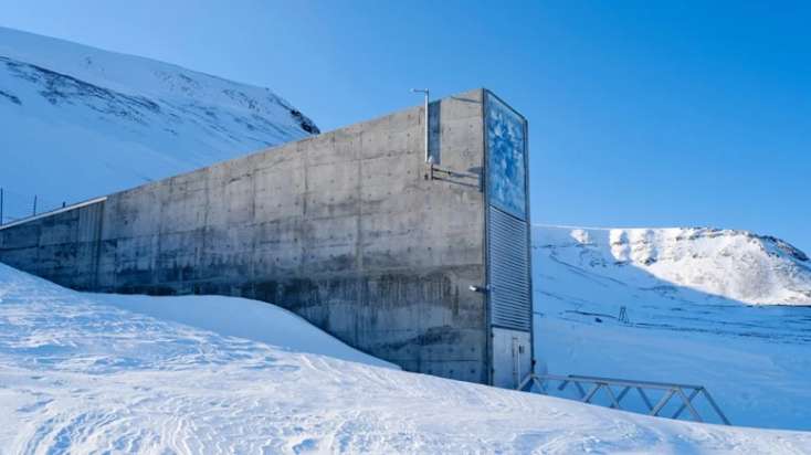 "Qiyamət anbarı"nda nə saxlanılır?