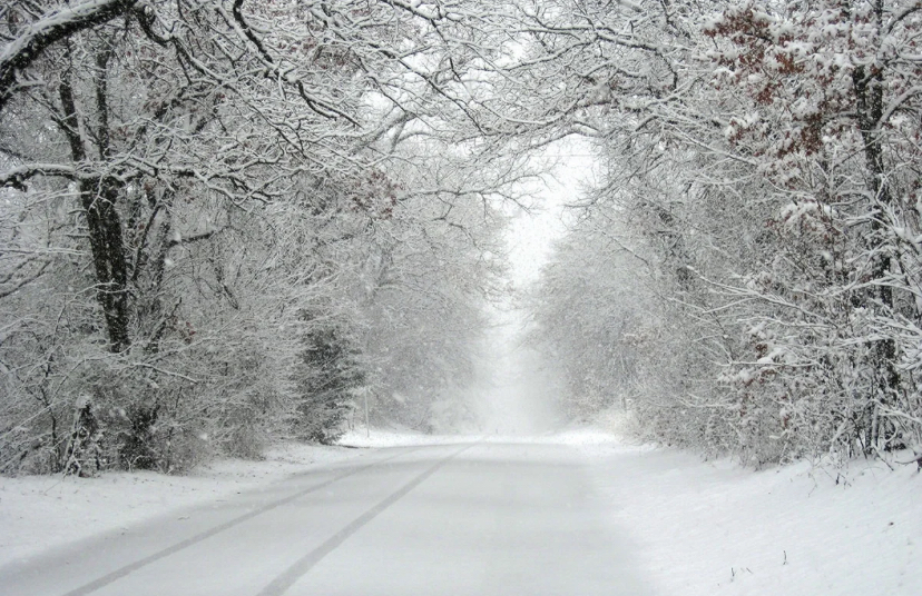 Hava kəskin dəyişir, bəzi ərazilərdə qar yağacaq - XƏBƏRDARLIQ