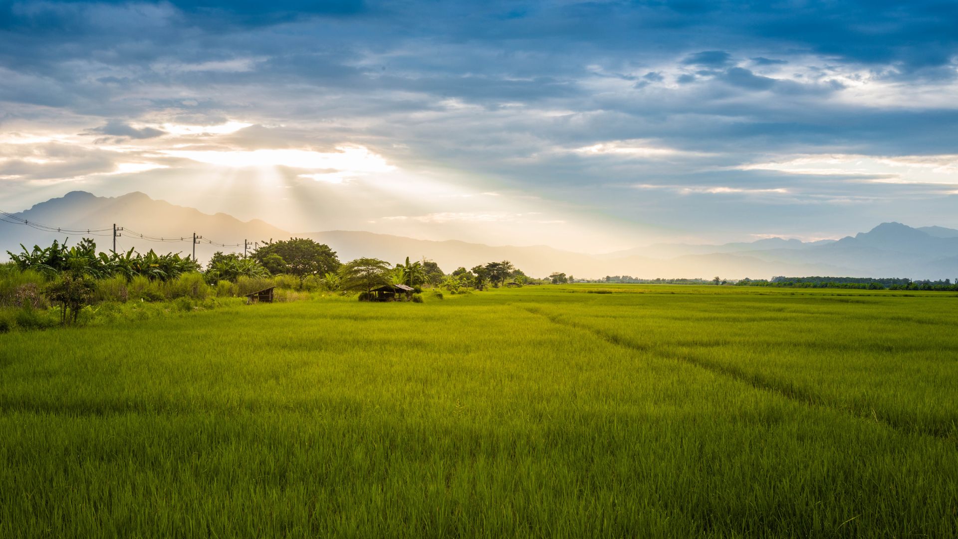 Torpaq zəbt edənlərə XƏBƏRDARLIQ