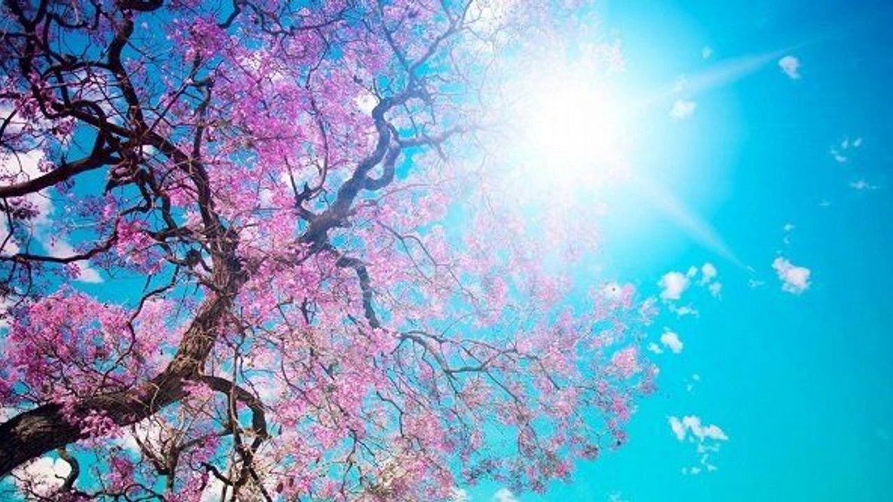 Sabah hava necə olacaq?