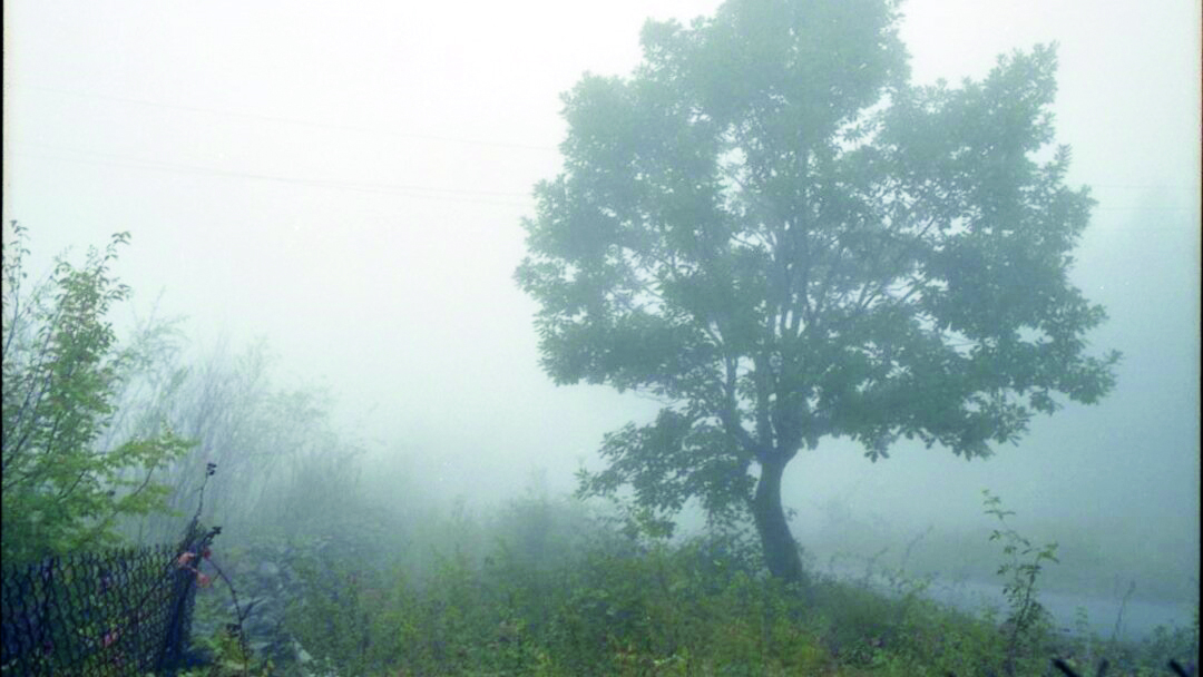 Yağış yağıb, külək əsib, duman olub - FAKTİKİ HAVA